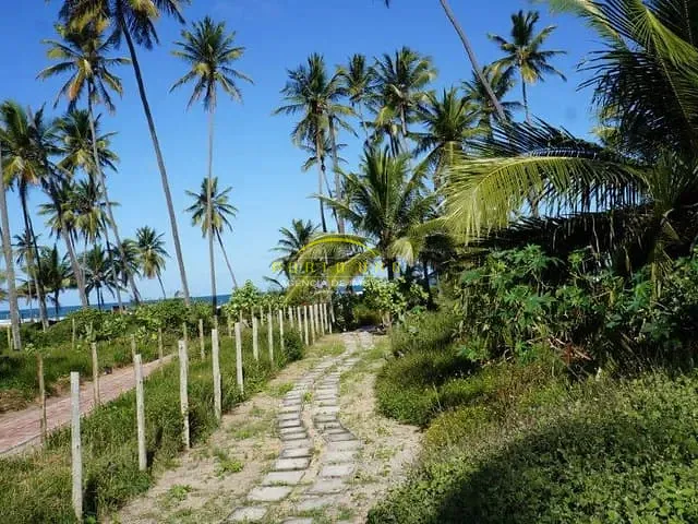 Terreno com 544m², à venda, no bairro Praia do Forte em Praia do Forte (Mata de São João)