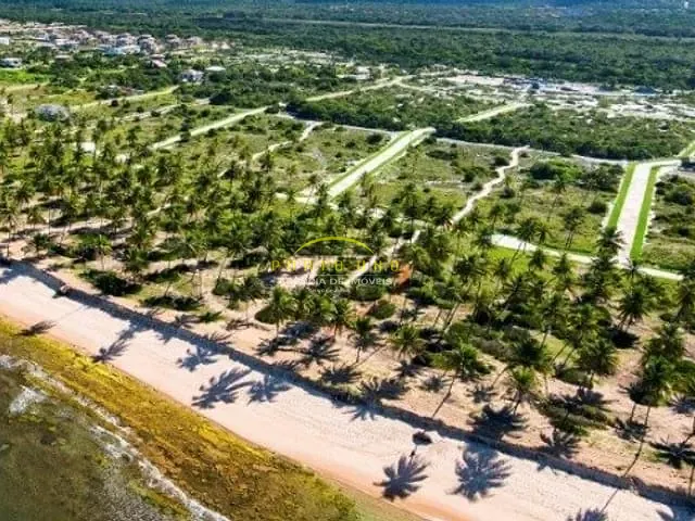 Terreno com 544m², à venda, no bairro Praia do Forte em Praia do Forte (Mata de São João)