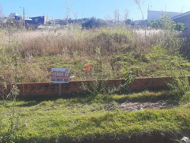Terreno com 250m², à venda, no bairro Jardim Paraíso em Arapongas