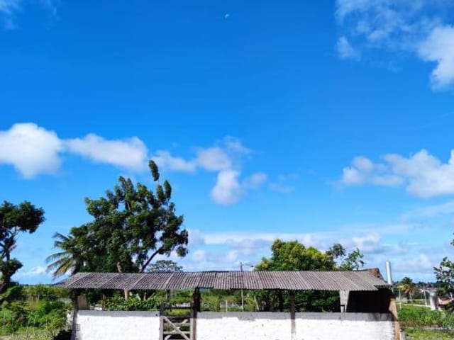 Foto do Terreno - Area com 01 Hectare e registrado na prefeitura para loteamento de 40 lotes, possui 02 poços com água potável. | Shopping Imóveis