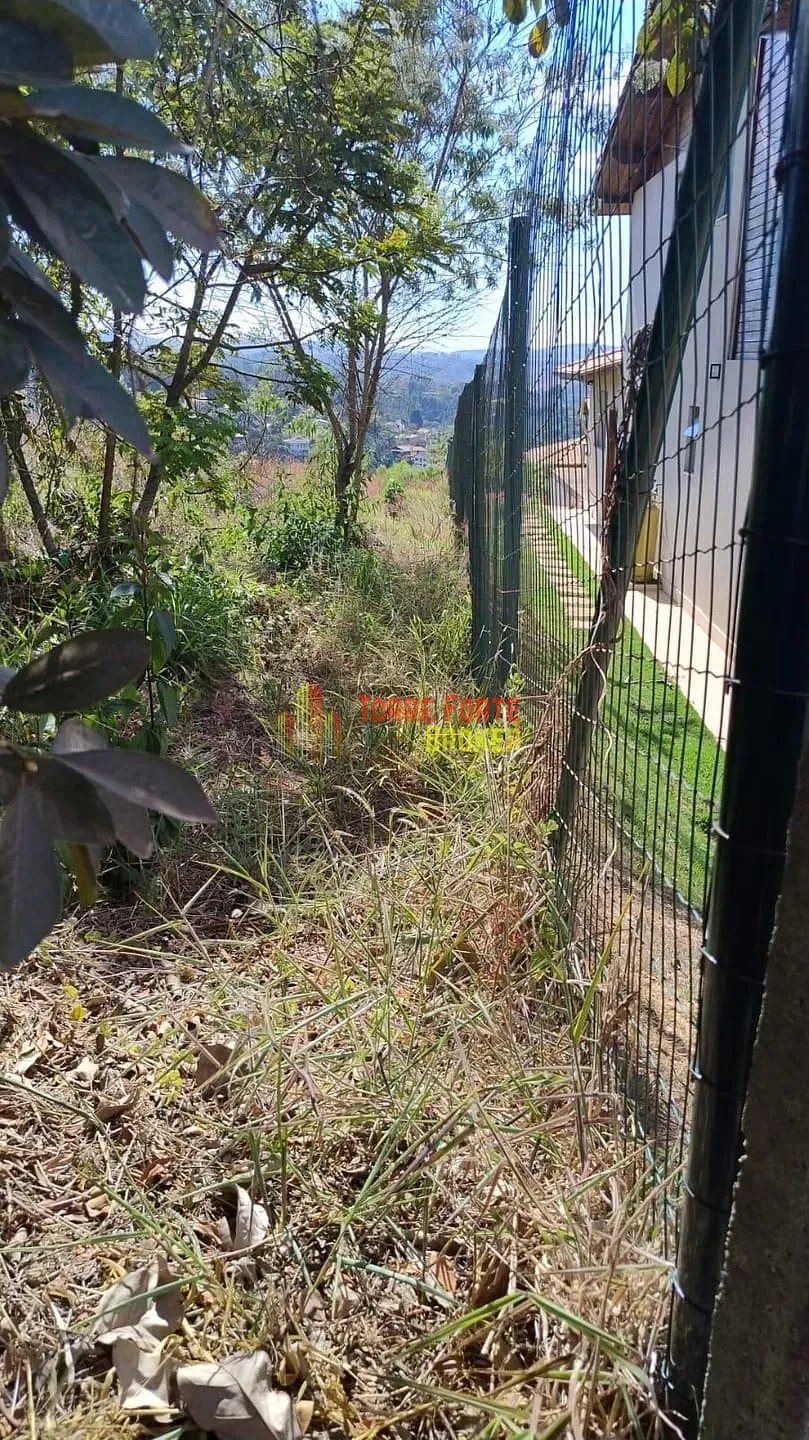 Terreno, 810 m² - Foto 3