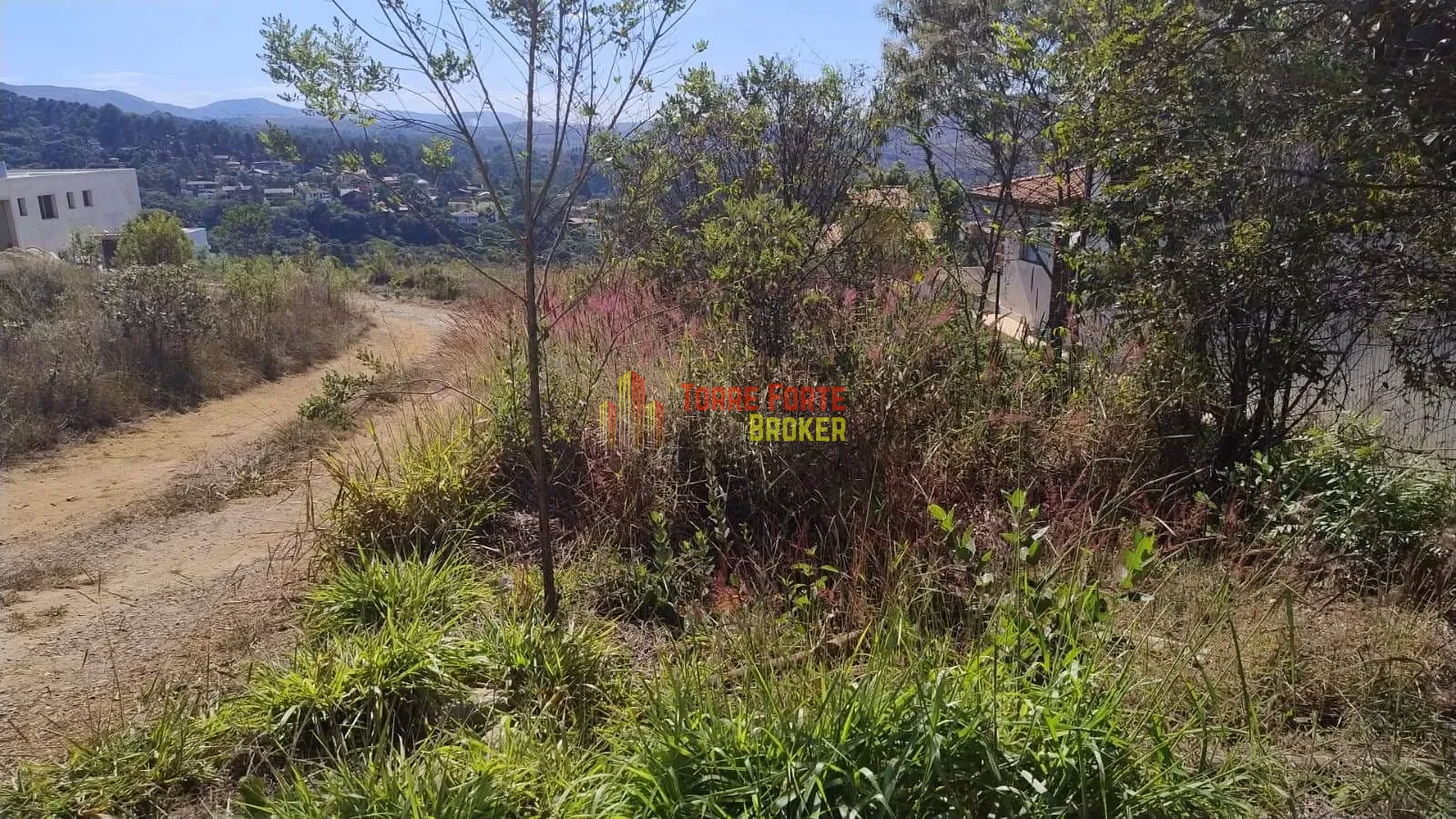 Terreno, 810 m² - Foto 2