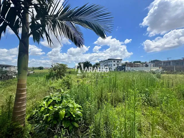 Terreno com 13700m², para alugar, no bairro Espinheiros em Itajaí