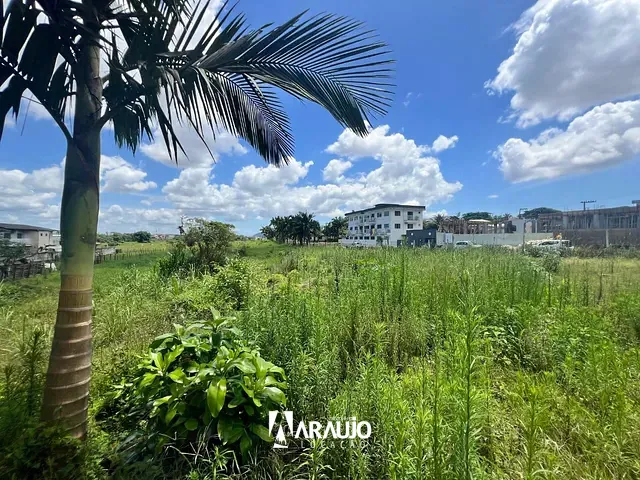 Terreno com 13700m², para alugar, no bairro Espinheiros em Itajaí