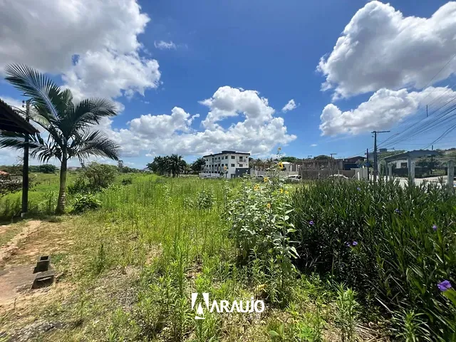 Terreno com 13700m², para alugar, no bairro Espinheiros em Itajaí