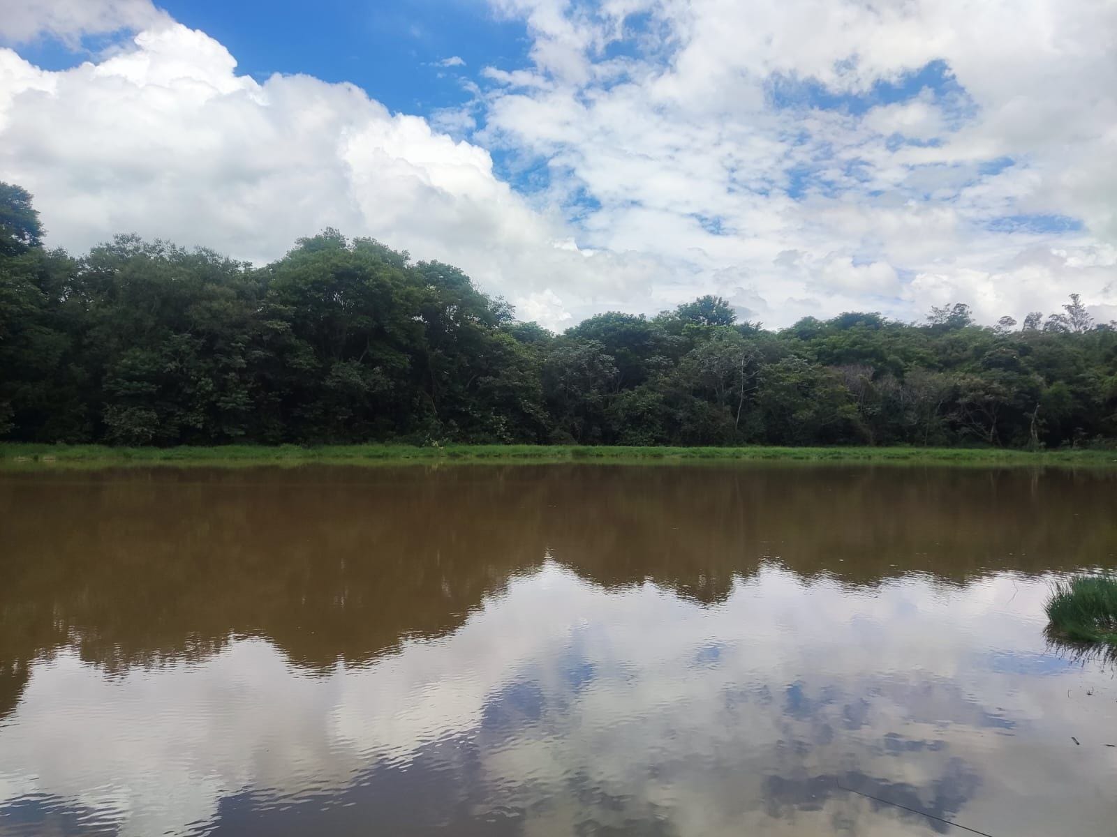 Terreno, 1000 m² - Foto 12