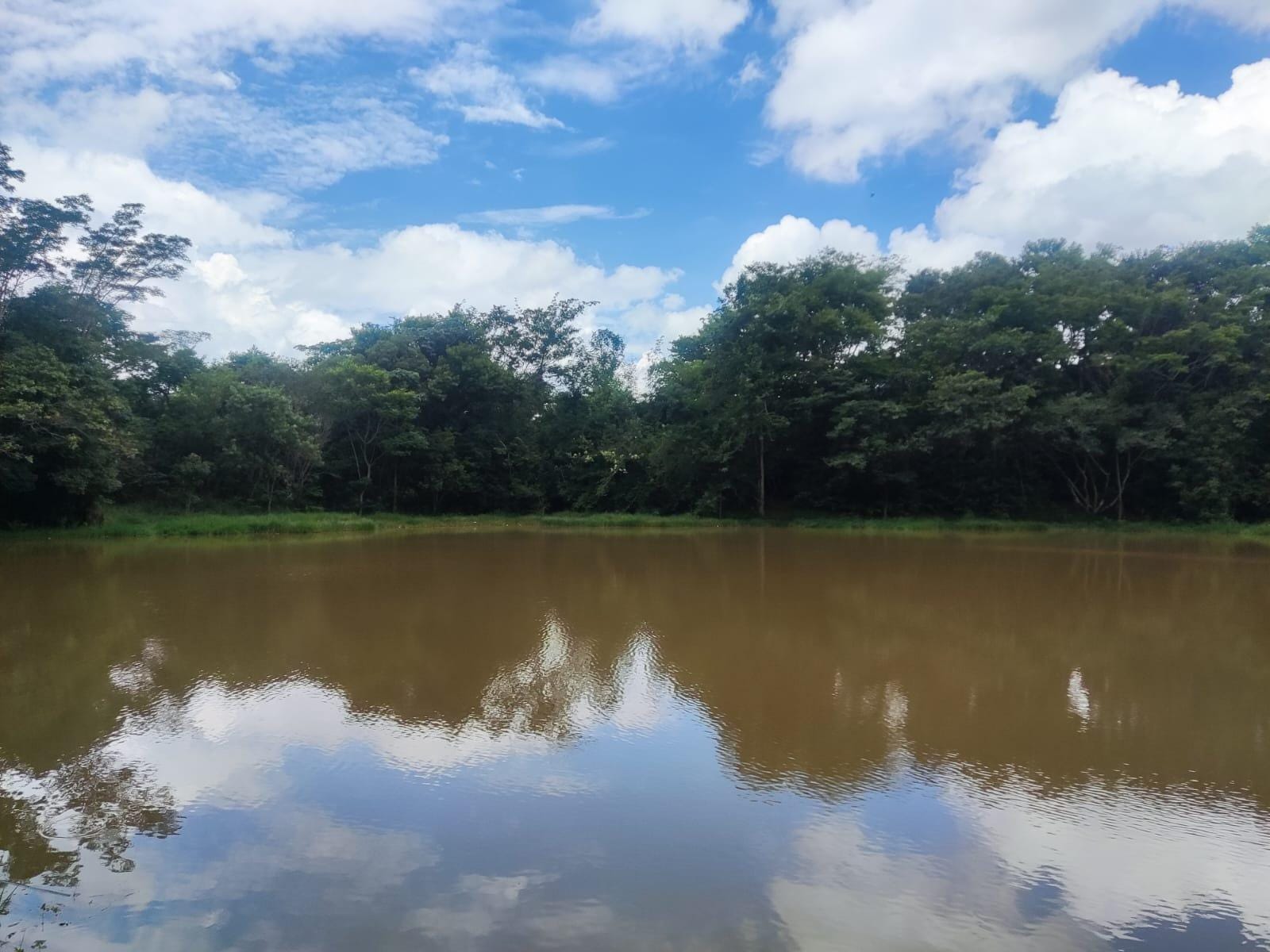 Terreno, 1000 m² - Foto 13