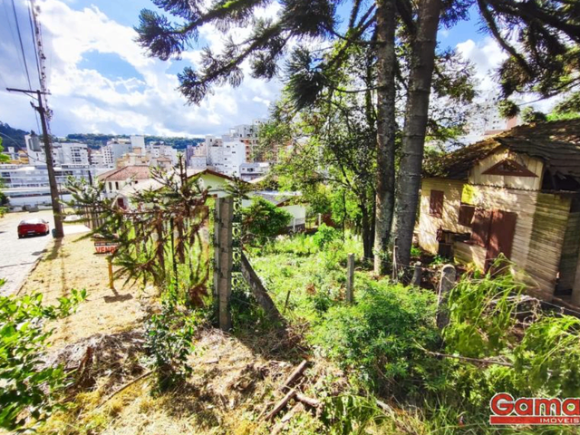 Terreno com 433m², à venda, no bairro Centro em Nova Prata