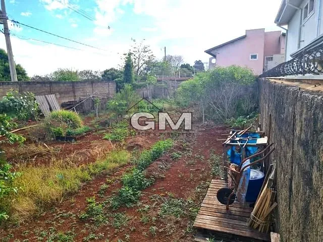 Terreno com 405m², à venda, no bairro Vila Monte Alegre em Ribeirão Preto