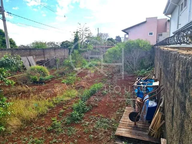 Terreno com 405m², à venda, no bairro Vila Monte Alegre em Ribeirão Preto