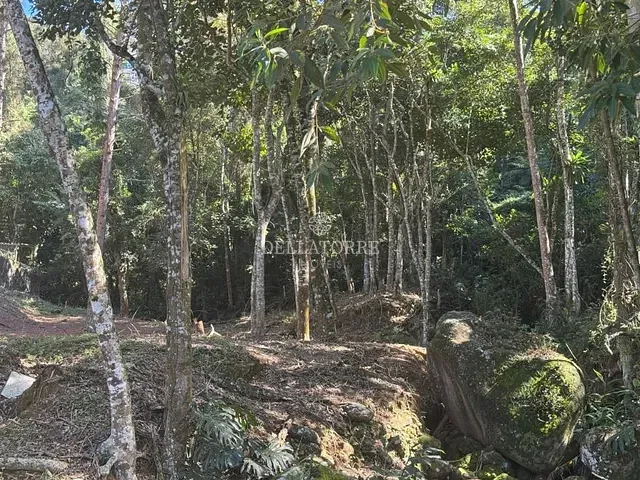 Terreno com 3151m², à venda, no bairro Parque do Ingá em Teresópolis
