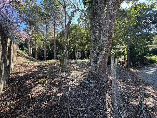 Terreno com 3151m², à venda, no bairro Parque do Ingá em Teresópolis