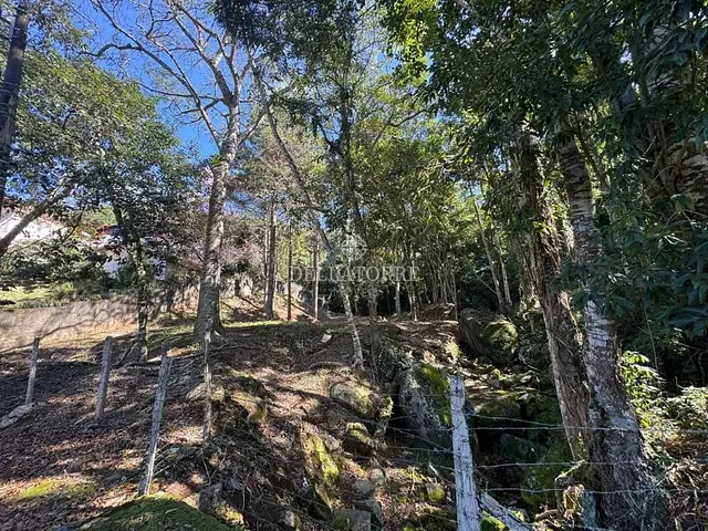 Terreno com 3151m², à venda, no bairro Parque do Ingá em Teresópolis