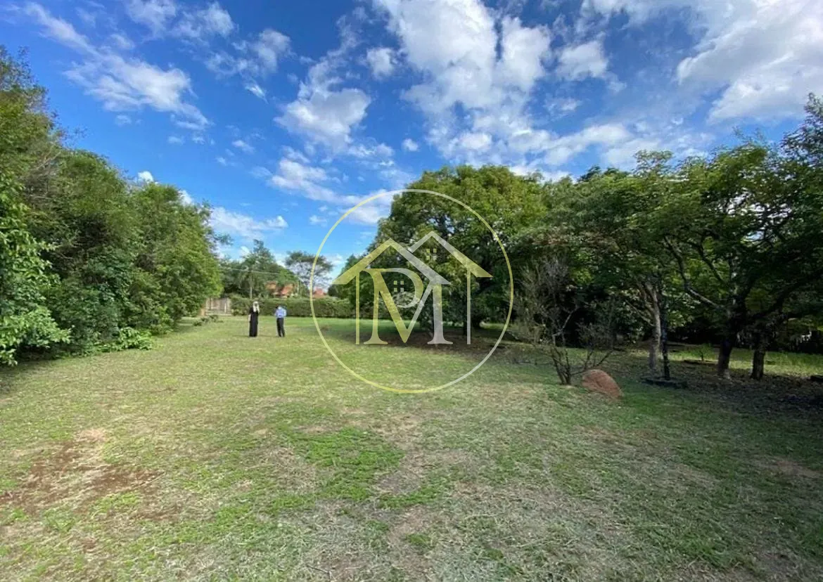 Terreno, 5030 m² - Foto 5