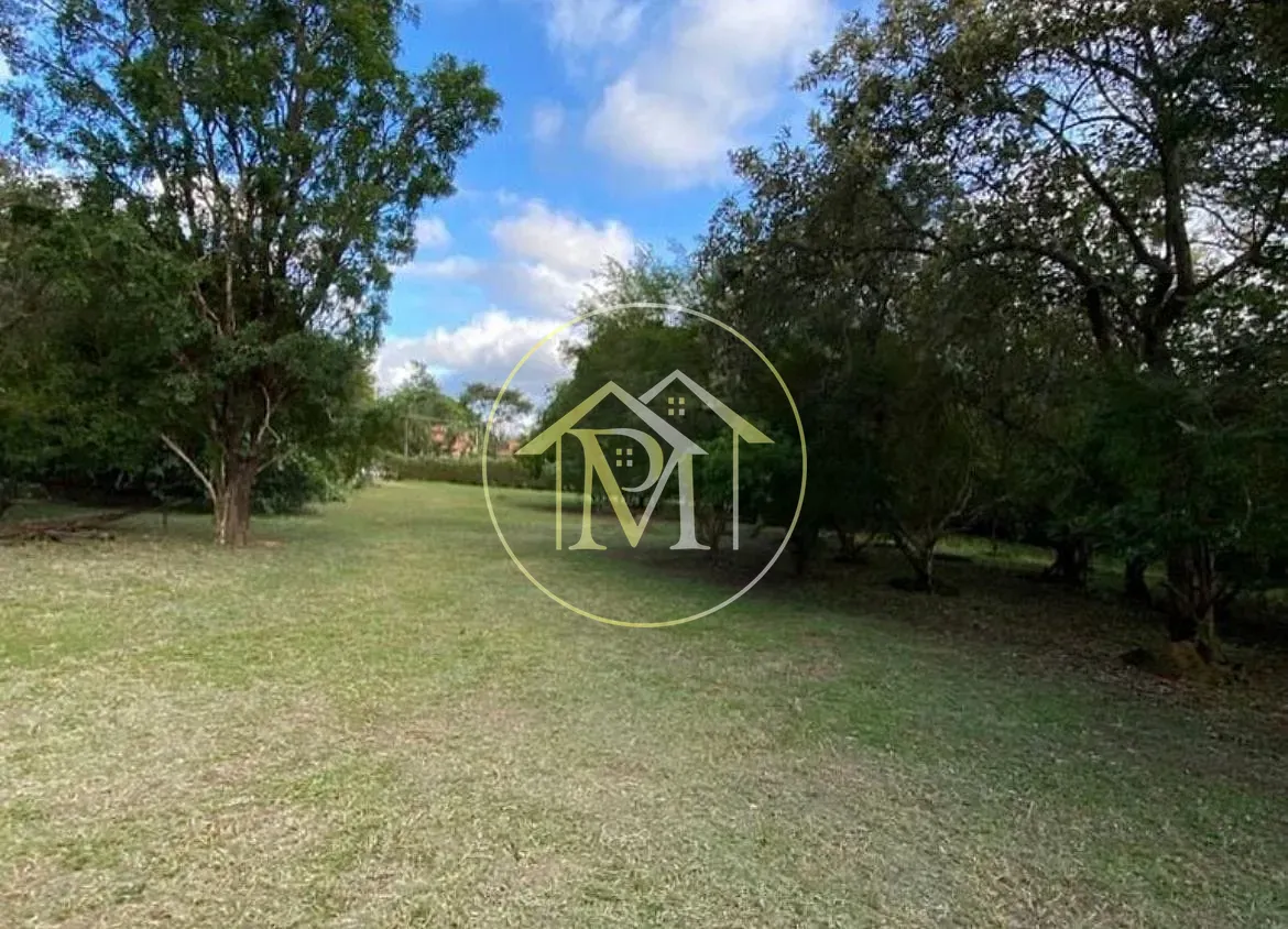 Terreno, 5030 m² - Foto 2