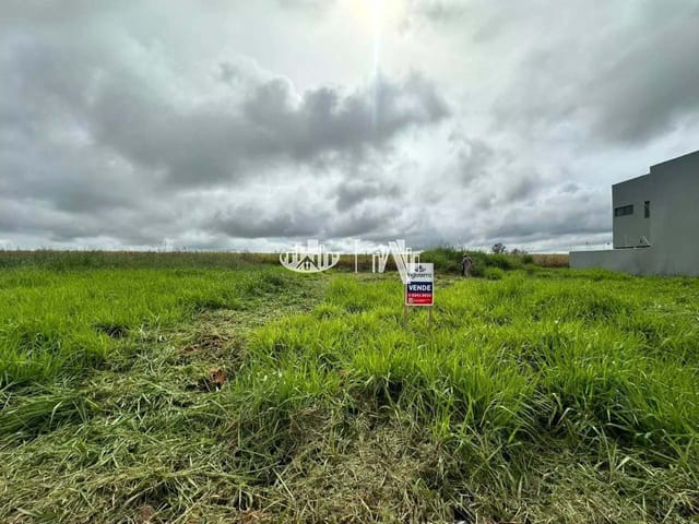 Terreno com 251m², à venda, no bairro Jardim Morumbi em Londrina
