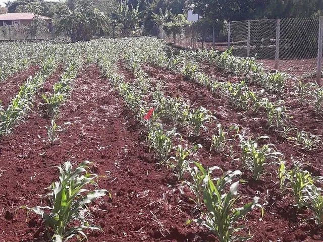 Terreno com 2044m², à venda, no bairro Km 9 Sete Ilhas em Sertanópolis