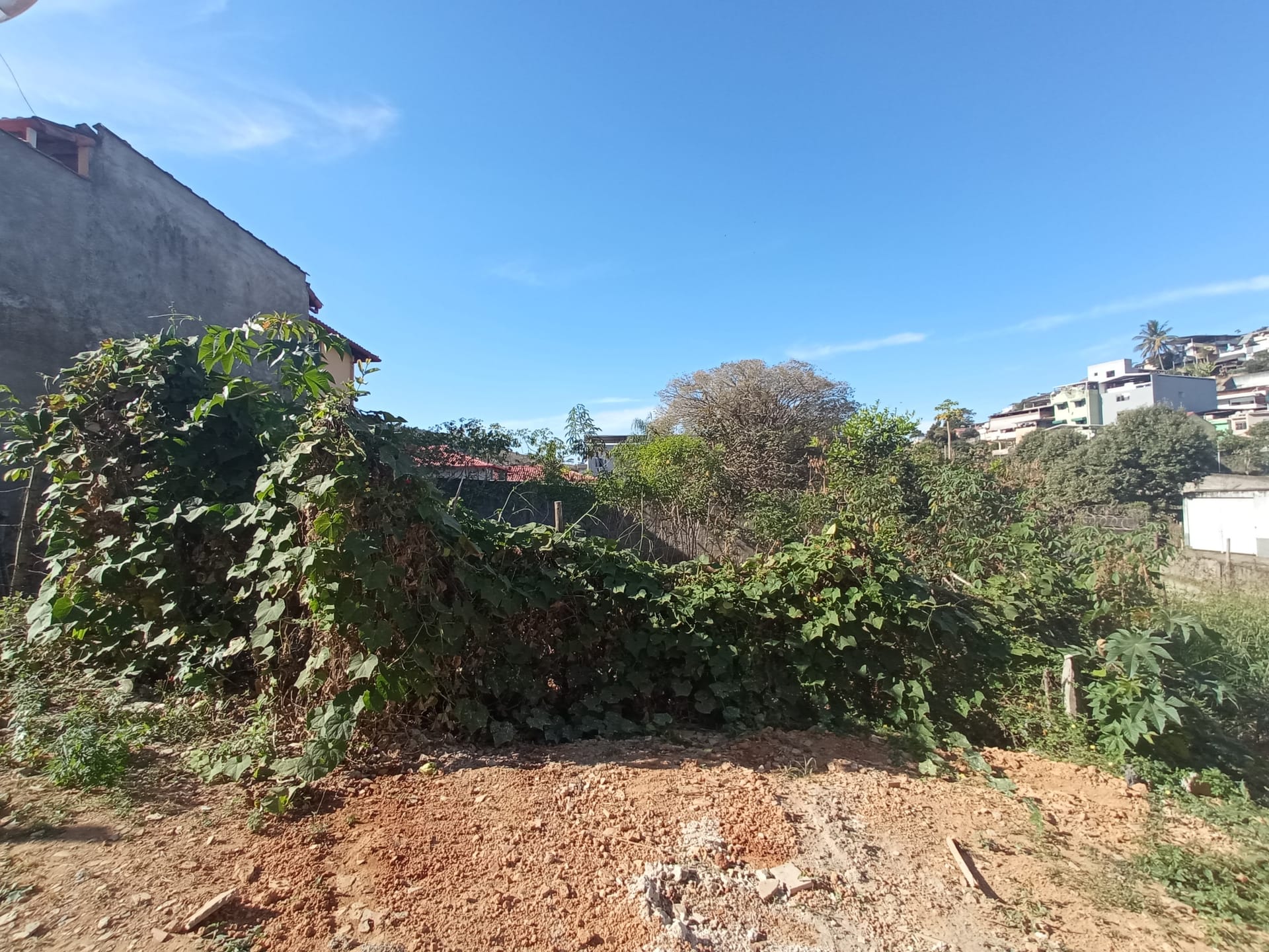 Terreno à venda 152.1M², ROSÁRIO, RIO POMBA - MG - foto 4