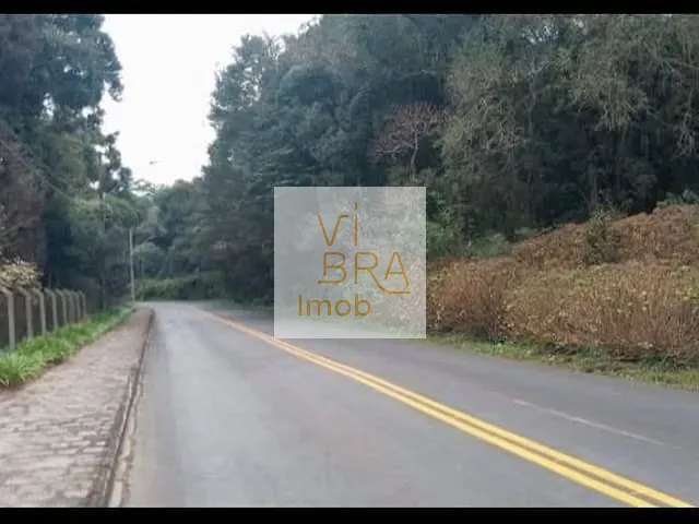 Terreno com 83793m², à venda, no bairro Alphaville Graciosa em Pinhais
