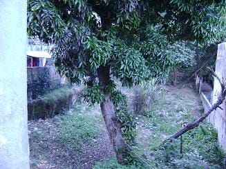 Terreno à venda Boa Vista, São Caetano do Sul - SP