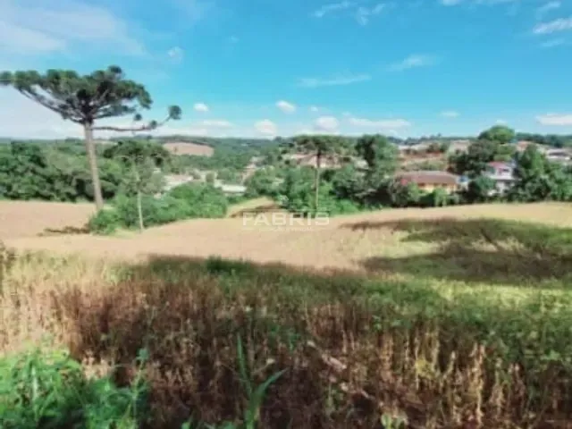 Terreno com 22000m², à venda, no bairro Ferraria em Campo Largo