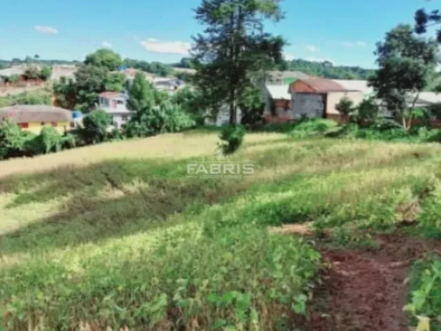 Terreno com 22000m², à venda, no bairro Ferraria em Campo Largo