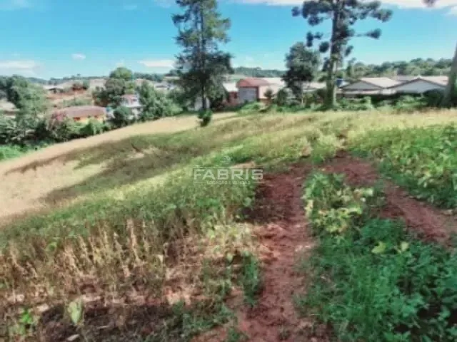 Terreno com 22000m², à venda, no bairro Ferraria em Campo Largo