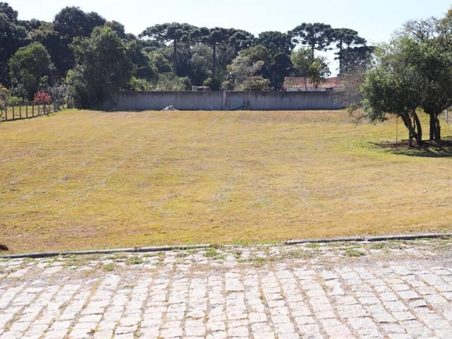 Terreno com 6251m², à venda, no bairro Planta Laranjeiras em Piraquara