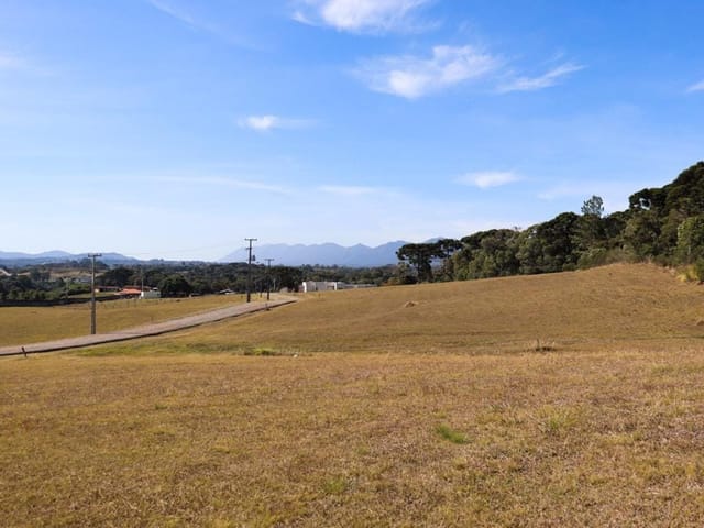 Terreno com 6251m², à venda, no bairro Planta Laranjeiras em Piraquara