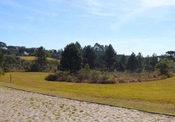 Terreno, 6250 m² - Foto 13