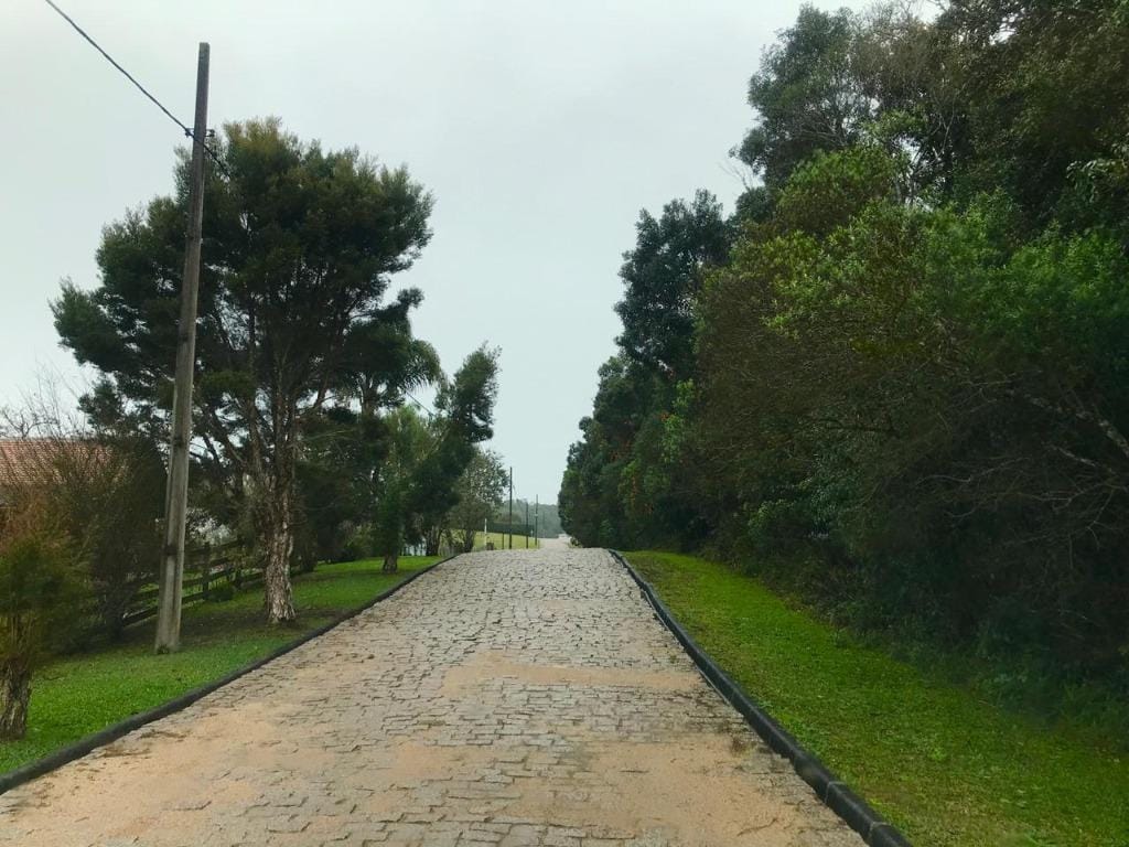 Terreno, 6250 m² - Foto 8
