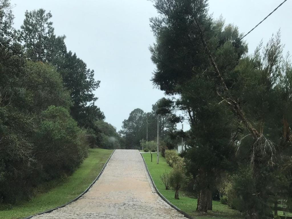 Terreno, 6250 m² - Foto 7