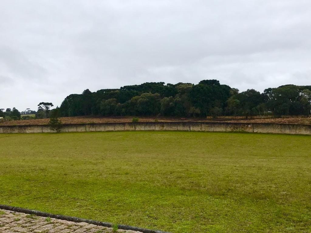 Terreno, 6250 m² - Foto 6