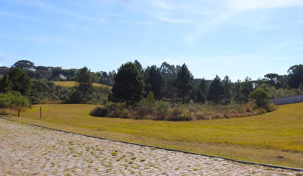 Terreno, 6250 m² - Foto 2