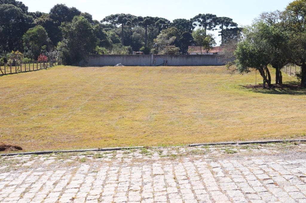 Terreno, 6250 m² - Foto 3