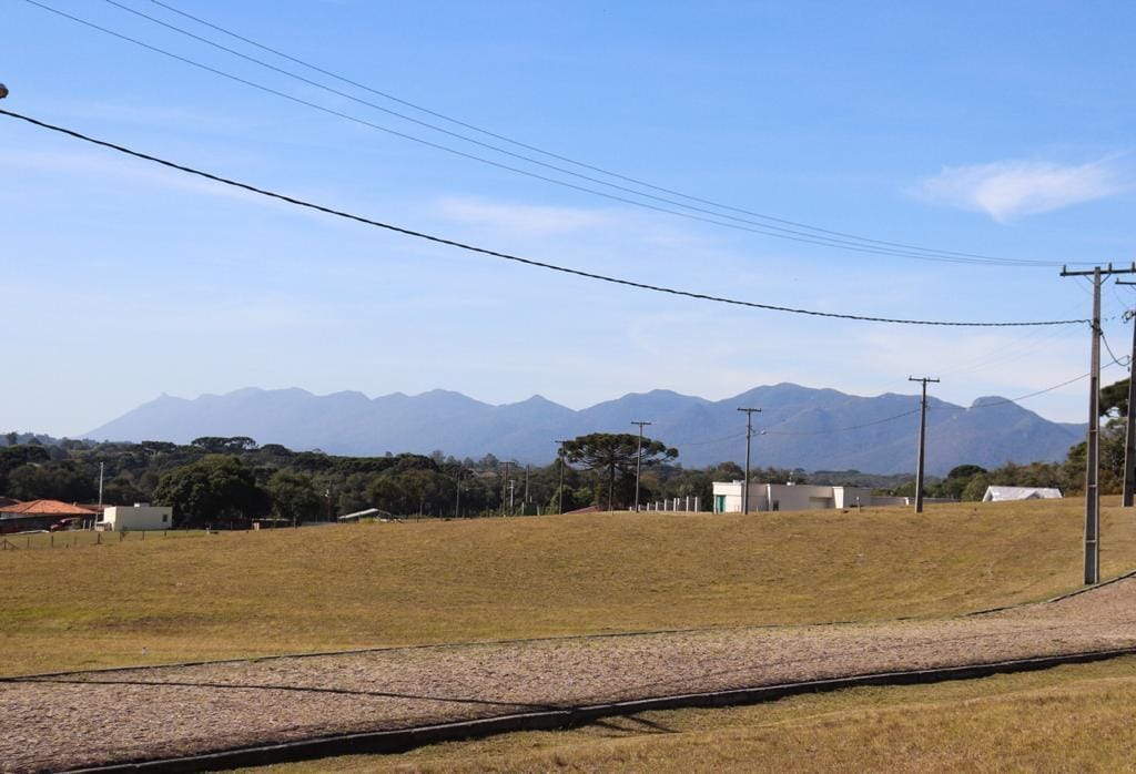 Terreno, 6250 m² - Foto 4