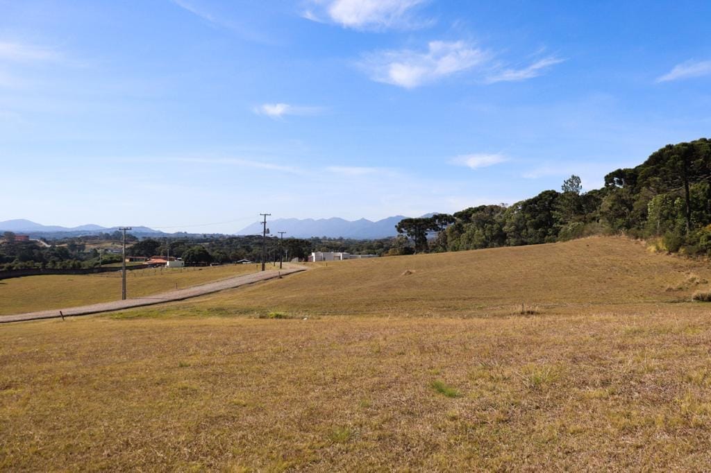 Terreno, 6250 m² - Foto 5