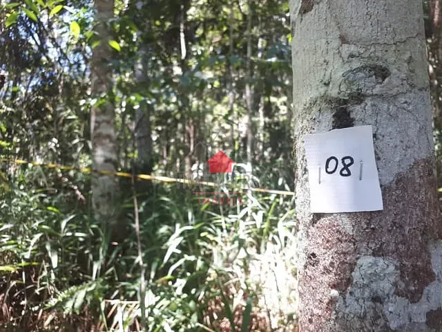 Terreno com 1109m², à venda, no bairro Ponte da Saudade em Nova Friburgo