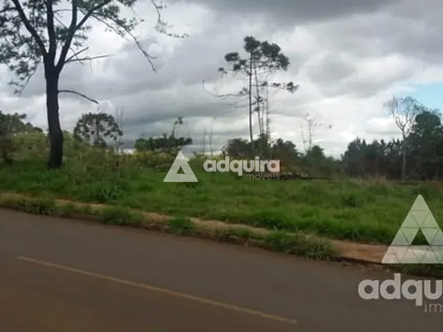Terreno com 11481m², à venda, no bairro Uvaranas em Ponta Grossa
