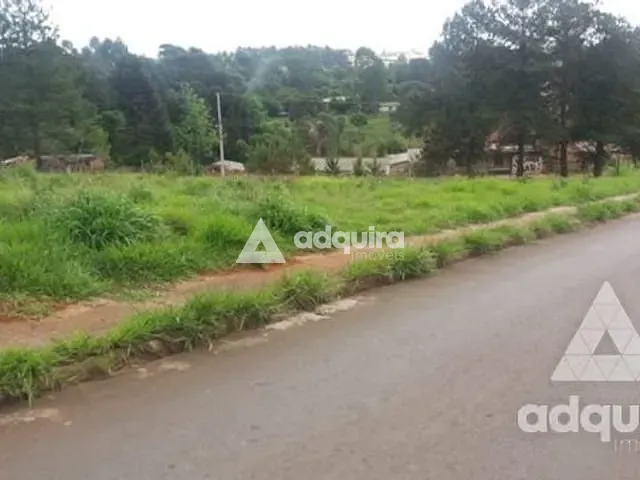 Terreno com 11481m², à venda, no bairro Uvaranas em Ponta Grossa