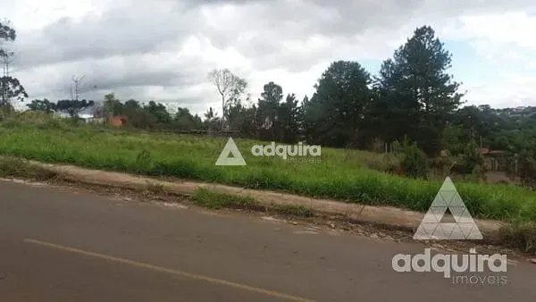 Terreno, 1 hectares - Foto 12