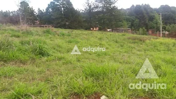 Terreno, 1 hectares - Foto 11