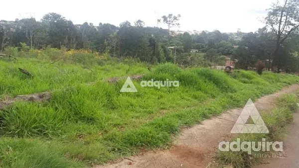 Terreno, 1 hectares - Foto 10