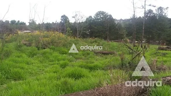 Terreno, 1 hectares - Foto 6