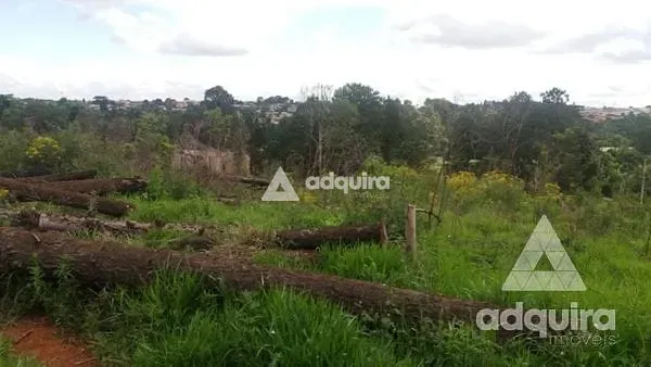 Terreno, 1 hectares - Foto 7