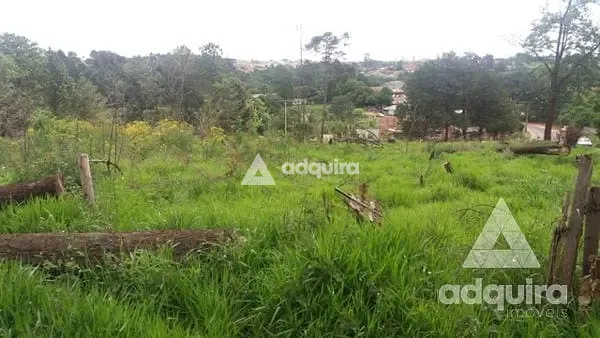 Terreno, 1 hectares - Foto 14