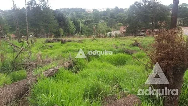 Terreno, 1 hectares - Foto 9