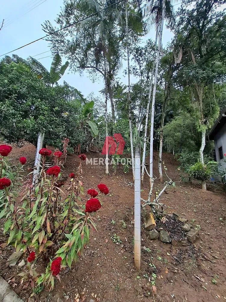 Terreno à venda, Salto do Norte, Blumenau, SC — foto 6