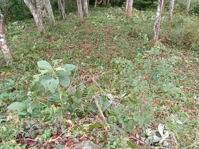 Terreno com 868m², à venda, no bairro Parque do Imbui em Teresópolis