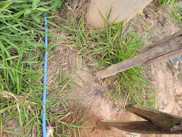 Terreno com 125m², à venda, no bairro Vila Guiomar em São Paulo